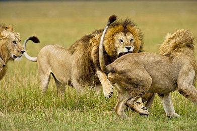 《Mirror 2：Project X》彩云篇正式上线 追加新角色僵尸娘